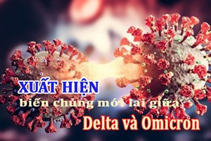 Xuất hiện biến thể mới lai giữa chủng Delta và Omicron
